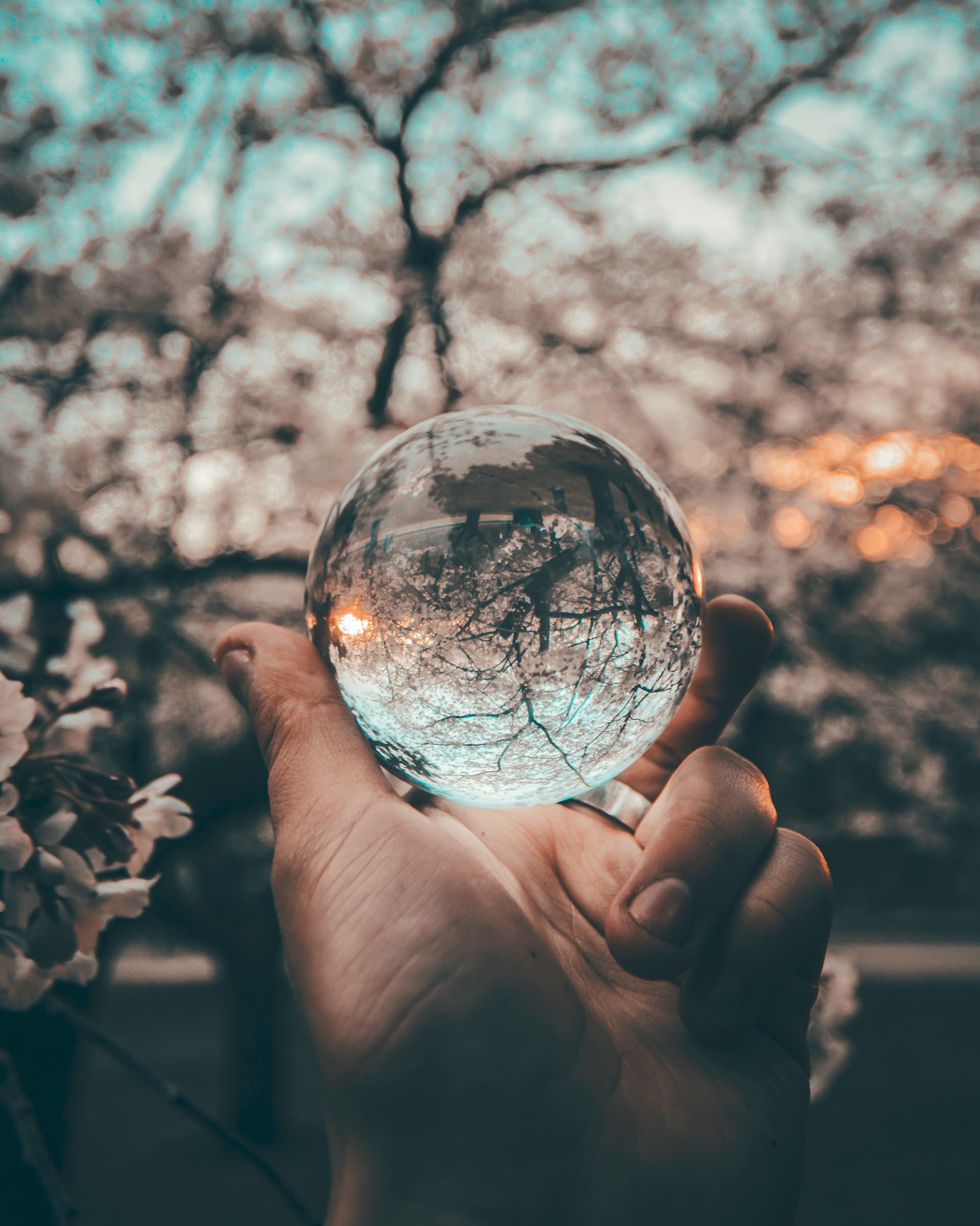 Foto de mano sosteniendo una esfera de cristal